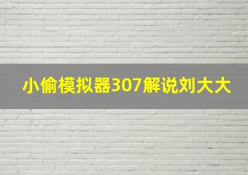 小偷模拟器307解说刘大大