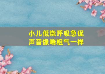 小儿低烧呼吸急促声音像喘粗气一样