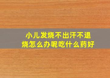 小儿发烧不出汗不退烧怎么办呢吃什么药好