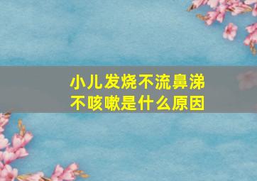 小儿发烧不流鼻涕不咳嗽是什么原因