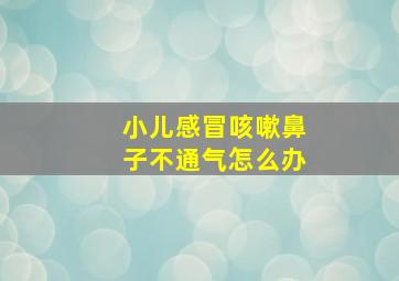 小儿感冒咳嗽鼻子不通气怎么办