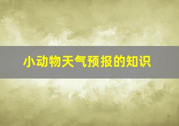 小动物天气预报的知识