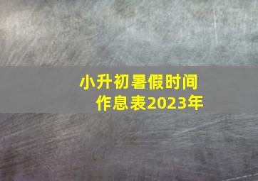 小升初暑假时间作息表2023年