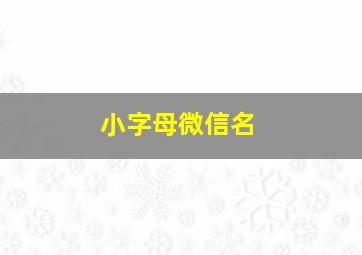 小字母微信名