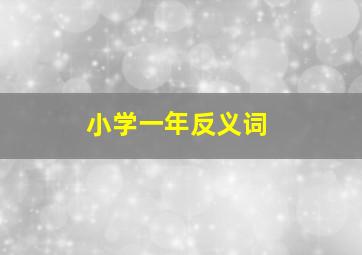 小学一年反义词