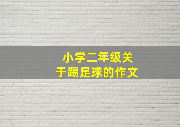 小学二年级关于踢足球的作文