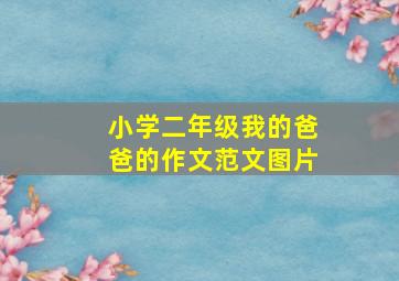 小学二年级我的爸爸的作文范文图片