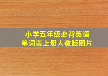 小学五年级必背英语单词表上册人教版图片