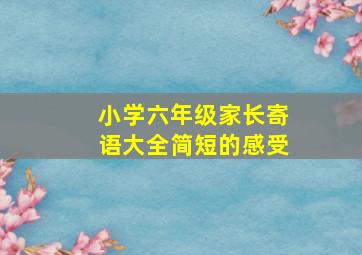 小学六年级家长寄语大全简短的感受