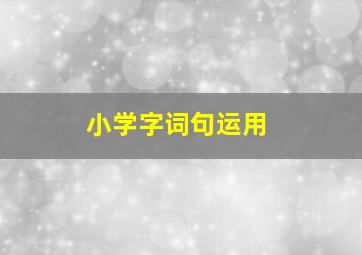 小学字词句运用