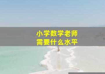 小学数学老师需要什么水平