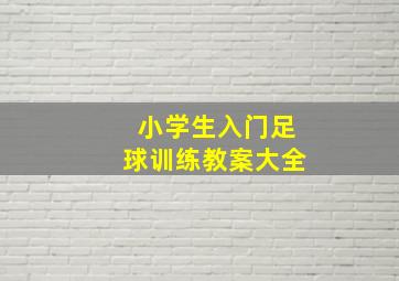 小学生入门足球训练教案大全