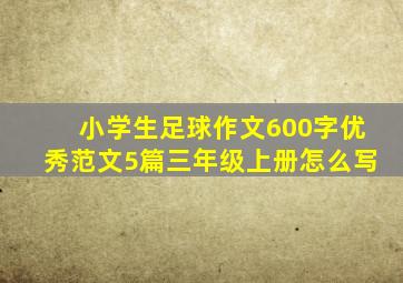 小学生足球作文600字优秀范文5篇三年级上册怎么写