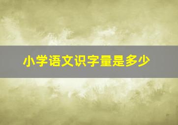 小学语文识字量是多少