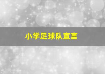 小学足球队宣言