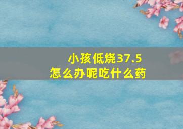 小孩低烧37.5怎么办呢吃什么药