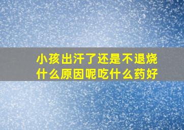 小孩出汗了还是不退烧什么原因呢吃什么药好