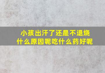 小孩出汗了还是不退烧什么原因呢吃什么药好呢