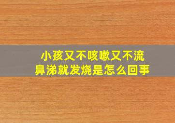 小孩又不咳嗽又不流鼻涕就发烧是怎么回事