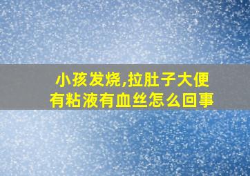 小孩发烧,拉肚子大便有粘液有血丝怎么回事