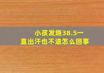 小孩发烧38.5一直出汗也不退怎么回事