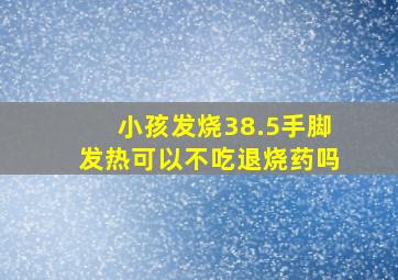 小孩发烧38.5手脚发热可以不吃退烧药吗