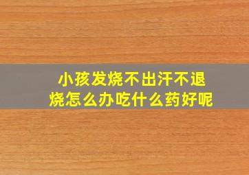 小孩发烧不出汗不退烧怎么办吃什么药好呢