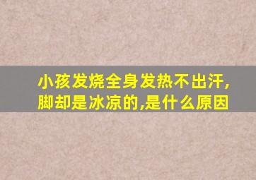 小孩发烧全身发热不出汗,脚却是冰凉的,是什么原因