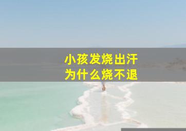 小孩发烧出汗为什么烧不退