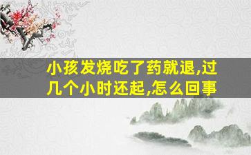 小孩发烧吃了药就退,过几个小时还起,怎么回事