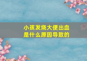 小孩发烧大便出血是什么原因导致的