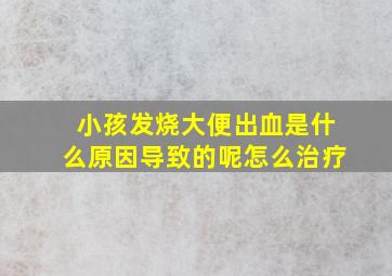 小孩发烧大便出血是什么原因导致的呢怎么治疗