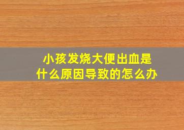 小孩发烧大便出血是什么原因导致的怎么办