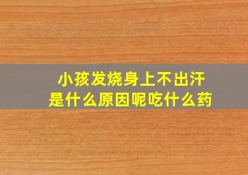 小孩发烧身上不出汗是什么原因呢吃什么药