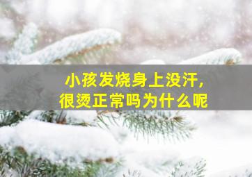 小孩发烧身上没汗,很烫正常吗为什么呢