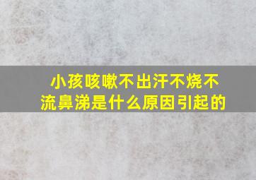 小孩咳嗽不出汗不烧不流鼻涕是什么原因引起的