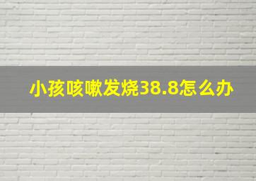 小孩咳嗽发烧38.8怎么办