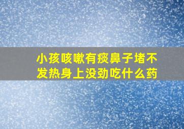 小孩咳嗽有痰鼻子堵不发热身上没劲吃什么药