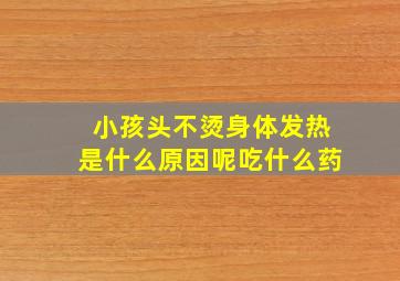 小孩头不烫身体发热是什么原因呢吃什么药