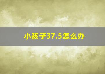 小孩子37.5怎么办