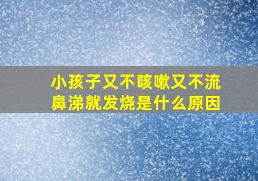 小孩子又不咳嗽又不流鼻涕就发烧是什么原因