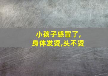 小孩子感冒了,身体发烫,头不烫