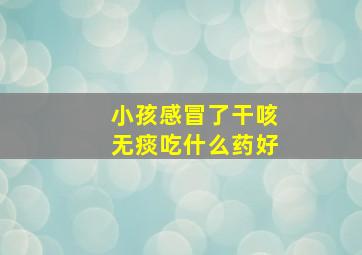 小孩感冒了干咳无痰吃什么药好