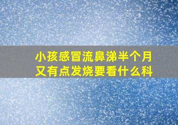 小孩感冒流鼻涕半个月又有点发烧要看什么科