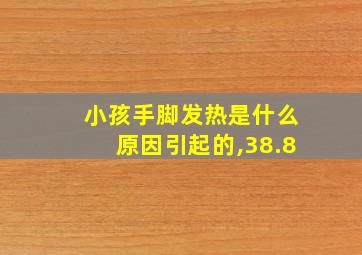 小孩手脚发热是什么原因引起的,38.8