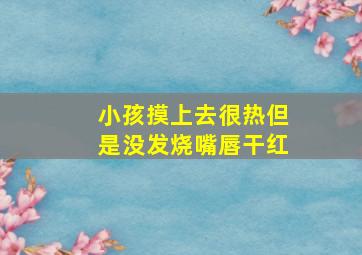 小孩摸上去很热但是没发烧嘴唇干红