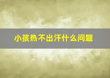 小孩热不出汗什么问题