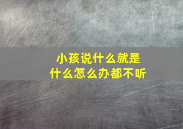 小孩说什么就是什么怎么办都不听