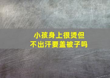 小孩身上很烫但不出汗要盖被子吗