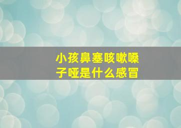 小孩鼻塞咳嗽嗓子哑是什么感冒